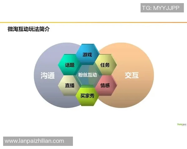 南京攀岩队的成功运营策略与发展模式深度分析与解读