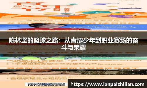 球速体育APP
