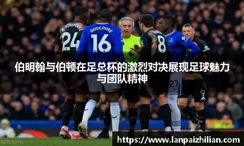 球速体育官网