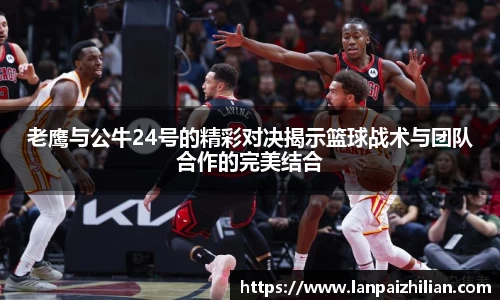 球速体育平台