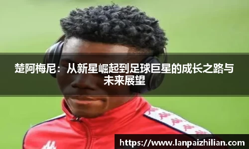 球速体育APP