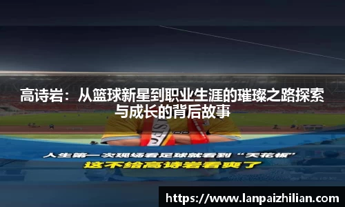 球速体育APP