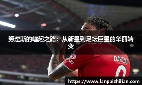 球速体育官网