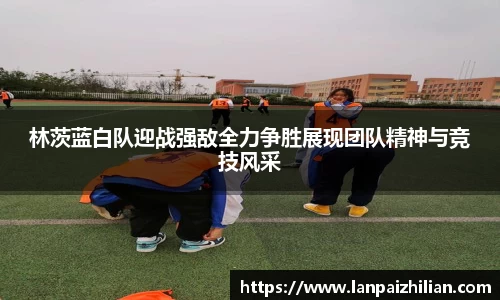 林茨蓝白队迎战强敌全力争胜展现团队精神与竞技风采