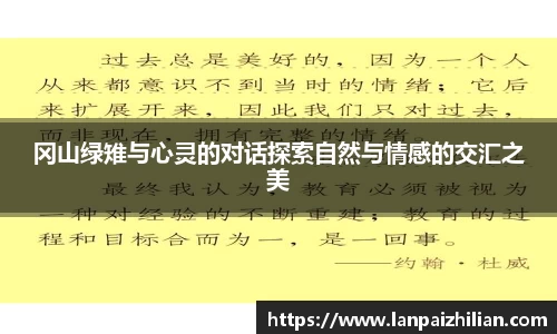 球速体育APP